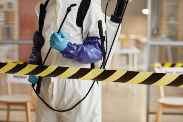 Professional Sewage Cleanup technician working in Grandview, TX